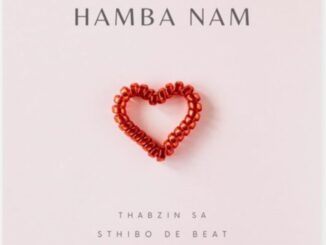 Thabzin SA, Hamba Nam, Sthibo De Beat, The Dime, mp3, download, datafilehost, toxicwap, fakaza,House Music, Amapiano, Amapiano 2023, Amapiano Mix, Amapiano Music