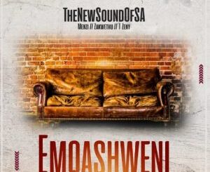 TheNewSoundOfSA, Emqashweni, mp3, download, datafilehost, toxicwap, fakaza, Afro House, Afro House 2023, Afro House Mix, Afro House Music, Afro Tech, House Music