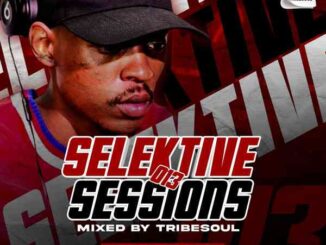TribeSoul, Selektive Sessions 013 Mix, mp3, download, datafilehost, toxicwap, fakaza,House Music, Amapiano, Amapiano 2023, Amapiano Mix, Amapiano Music