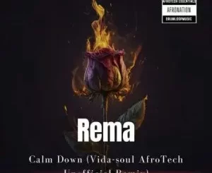 Rema, Calm Down, Vida-soul, AfroTech Unofficial Remix, mp3, download, datafilehost, toxicwap, fakaza, Afro House, Afro House 2023, Afro House Mix, Afro House Music, Afro Tech, House Music