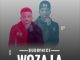 Buddynice, Woza La, Redemial Mix, mp3, download, datafilehost, toxicwap, fakaza,House Music, Amapiano, Amapiano 2023, Amapiano Mix, Amapiano Music