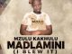 Mzulu Kakhulu, MaDlamini, I Blew It, T-Man SA, mp3, download, datafilehost, toxicwap, fakaza, Afro House, Afro House 2023, Afro House Mix, Afro House Music, Afro Tech, House Music