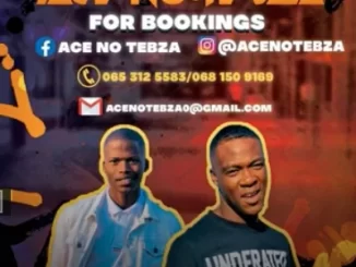 Ace no Tebza, Impumelelo, mp3, download, datafilehost, toxicwap, fakaza, Gqom Beats, Gqom Songs, Gqom Music, Gqom Mix, House Music