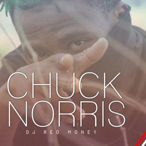 Dj Red Money, Chuck Norris, mp3, download, datafilehost, toxicwap, fakaza, Gqom Beats, Gqom Songs, Gqom Music, Gqom Mix, House Music