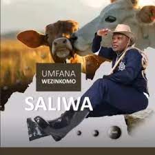 Saliwa, Umfana Wezinkomo, mp3, download, datafilehost, toxicwap, fakaza, Maskandi Songs, Maskandi, Maskandi Mix, Maskandi Music, Maskandi Classics