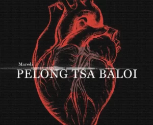 Maredi Maredi, Pelong tsa Baloi, mp3, download, datafilehost, toxicwap, fakaza, Maskandi Songs, Maskandi, Maskandi Mix, Maskandi Music, Maskandi Classics