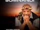 Somnandi, Ngawa Ngashelelela, mp3, download, datafilehost, toxicwap, fakaza, Maskandi Songs, Maskandi, Maskandi Mix, Maskandi Music, Maskandi Classics