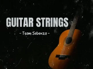 Team Sebenza, Guitar Strings, mp3, download, datafilehost, toxicwap, fakaza, Gqom Beats, Gqom Songs, Gqom Music, Gqom Mix, House Music
