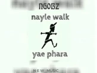 Ngobz, Nayle Walk Revisit, To Tyler Icu, Nandipha 808, Ceeka, Snyper Reloaded, Youngmusiq, Sthipla Rsa, mp3, download, datafilehost, toxicwap, fakaza,House Music, Amapiano, Amapiano 2023, Amapiano Mix, Amapiano Music
