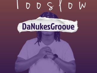 DaNukes Groove, DJ Obza, Myy Gerald, Too Slow, mp3, download, datafilehost, toxicwap, fakaza,House Music, Amapiano, Amapiano 2023, Amapiano Mix, Amapiano Music