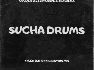 Golden Djz, Nkanyezi Kubheka, Sucha Drums, Tyler ICU Appreciation Mix, mp3, download, datafilehost, toxicwap, fakaza,House Music, Amapiano, Amapiano 2023, Amapiano Mix, Amapiano Music