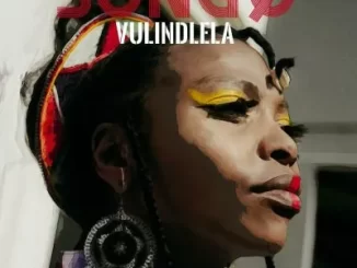 SONGØ, Vulindlela, Original Mix, mp3, download, datafilehost, toxicwap, fakaza,House Music, Amapiano, Amapiano 2023, Amapiano Mix, Amapiano Music