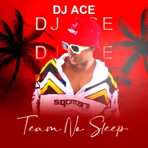 DJ Ace, Team No Sleep, download,zip, zippyshare, fakaza, EP, datafilehost, album, House Music, Amapiano, Amapiano 2023, Amapiano Mix, Amapiano Music
