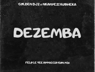 Golden DJz, Nkanyezi Kubheka, Dezemba, Felo Le Tee Appreciation Mix, mp3, download, datafilehost, toxicwap, fakaza,House Music, Amapiano, Amapiano 2023, Amapiano Mix, Amapiano Music