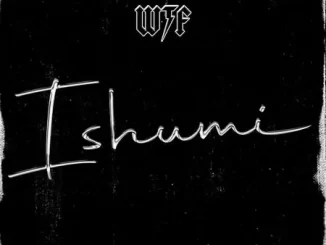 WTF, Ishumi, mp3, download, datafilehost, toxicwap, fakaza, Hiphop, Hip hop music, Hip Hop Songs, Hip Hop Mix, Hip Hop, Rap, Rap Music