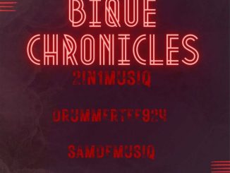 2in1musiq, DrummeRTee924, Sam De Musiq, Bique Chronicles, mp3, download, datafilehost, toxicwap, fakaza,House Music, Amapiano, Amapiano 2023, Amapiano Mix, Amapiano Music