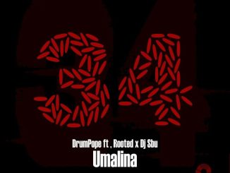 DrumPope, Rooted, Umalina, DJ SBU, mp3, download, datafilehost, toxicwap, fakaza,House Music, Amapiano, Amapiano 2024, Amapiano Mix, Amapiano Music