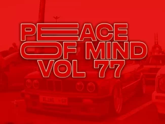 DJ Ace, Peace of Mind Vol 77, mp3, download, datafilehost, toxicwap, fakaza,House Music, Amapiano, Amapiano 2024, Amapiano Mix, Amapiano Music