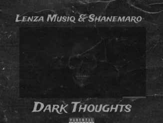 Lenza Musiq, Shanemaro, Dark Thoughts, mp3, download, datafilehost, toxicwap, fakaza,House Music, Amapiano, Amapiano 2024, Amapiano Mix, Amapiano Music