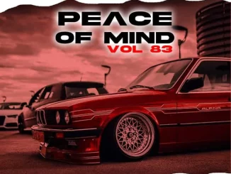 DJ Ace, Peace Of Mind Vol 83, 05 May 2024 Slow Jam Mix, mp3, download, datafilehost, toxicwap, fakaza,House Music, Amapiano, Amapiano 2024, Amapiano Mix, Amapiano Music