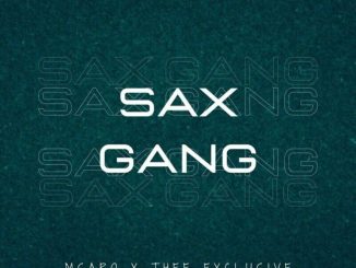 Msaro, Thee Exclusive, Sax Gang, mp3, download, datafilehost, toxicwap, fakaza,House Music, Amapiano, Amapiano 2024, Amapiano Mix, Amapiano Music