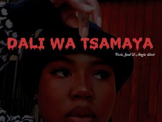 Toxic Soul, Angie West, Dali Wa Tsamaya, Musa De Guitarist, Legit Folks MusiQ, mp3, download, datafilehost, toxicwap, fakaza,House Music, Amapiano, Amapiano 2024, Amapiano Mix, Amapiano Music