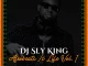 DJ Sly King, Afrobeats Is Life Vol. 1, mp3, download, datafilehost, toxicwap, fakaza,House Music, Amapiano, Amapiano 2024, Amapiano Mix, Amapiano Music