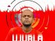 Ujubla, UJUBLA NABA NGANI BAKHE, download, zip, zippyshare, fakaza, EP, datafilehost, album, House Music, Amapinao, Amapiano 2024, Amapiano Mix, Amapiano Music