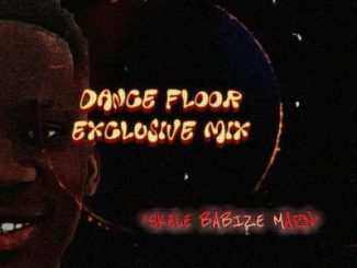 Skele 03, Dance Floor Exclusive Mix, mp3, download, datafilehost, toxicwap, fakaza,House Music, Amapiano, Amapiano 2024, Amapiano Mix, Amapiano Music