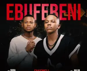 Fake'well, Ebufebeni, Malume.hypeman, Shuga Mizer, mp3, download, datafilehost, toxicwap, fakaza,House Music, Amapiano, Amapiano 2024, Amapiano Mix, Amapiano Music