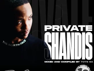 Tots SA, Private Shandis Vol. 10, mp3, download, datafilehost, toxicwap, fakaza,House Music, Amapiano, Amapiano 2024, Amapiano Mix, Amapiano Music