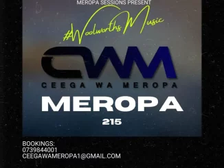 Ceega, Meropa 215, Connection Between Us, The Music, mp3, download, datafilehost, toxicwap, fakaza,House Music, Amapiano, Amapiano 2024, Amapiano Mix, Amapiano Music