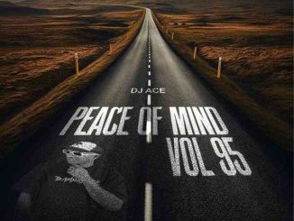 DJ Ace, Peace of Mind Vol 95, AMA45 Mix, mp3, download, datafilehost, toxicwap, fakaza,House Music, Amapiano, Amapiano 2024, Amapiano Mix, Amapiano Music