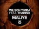 Wilson Timba, Maliye, Thabiso Vocalist, mp3, download, datafilehost, toxicwap, fakaza, Afro House, Afro House 2024, Afro House Mix, Afro House Music, Afro Tech, House Music