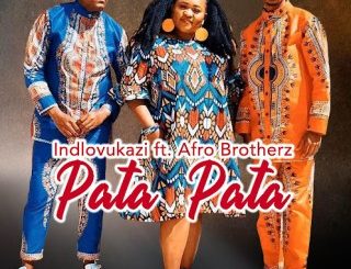 INDLOVUKAZI, Pata Pata, Afro Brotherz, mp3, download, datafilehost, toxicwap, fakaza,House Music, Amapiano, Amapiano 2024, Amapiano Mix, Amapiano Music