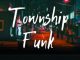 Jazzinator, Township Funk, Valesh SA, Stinga SA, mp3, download, datafilehost, toxicwap, fakaza,House Music, Amapiano, Amapiano 2024, Amapiano Mix, Amapiano Music