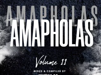 KWiiSH SA, Amapholas, Vol. 11 Mix, mp3, download, datafilehost, toxicwap, fakaza,House Music, Amapiano, Amapiano 2024, Amapiano Mix, Amapiano Music