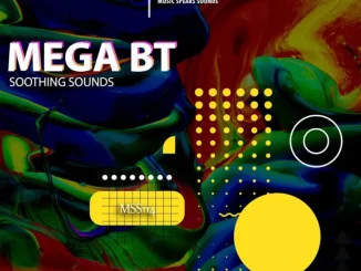 Mega BT, Soothing Sounds, download ,zip, zippyshare, fakaza, EP, datafilehost, album, Deep House Mix, Deep House, Deep House Music, Deep Tech, Afro Deep Tech, House Music