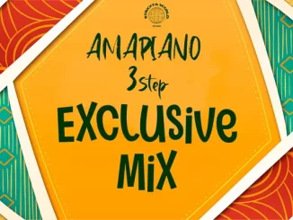 Omit ST, Amapiano 3Step, Exclusive Mix, mp3, download, datafilehost, toxicwap, fakaza,House Music, Amapiano, Amapiano 2024, Amapiano Mix, Amapiano Music