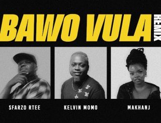 Sfarzo Rtee, Bawo Vula, Remix, Kelvin Momo, Makhanj, mp3, download, datafilehost, toxicwap, fakaza,House Music, Amapiano, Amapiano 2024, Amapiano Mix, Amapiano Music