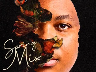 Snow Deep, Spring Mix 2024, mp3, download, datafilehost, toxicwap, fakaza,House Music, Amapiano, Amapiano 2024, Amapiano Mix, Amapiano Music