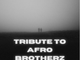 Afro Victimz, Tribute To Afro Brotherz, mp3, download, datafilehost, toxicwap, fakaza, Afro House, Afro House 2024, Afro House Mix, Afro House Music, Afro Tech, House Music