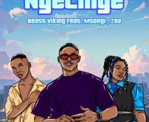 Beast Viking, Ngelinye, Msongi, Ze2, download, zip, zippyshare, fakaza, EP, datafilehost, album, House Music, Amapinao, Amapiano 2024, Amapiano Mix, Amapiano Music