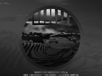 VA, Sanelow Grooves, Vol. 6, download ,zip, zippyshare, fakaza, EP, datafilehost, album, Deep House Mix, Deep House, Deep House Music, Deep Tech, Afro Deep Tech, House Music