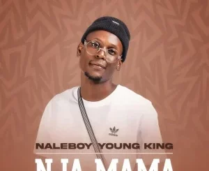 NaleBoy Young King, Nja mama, Hitler SA, mp3, download, datafilehost, toxicwap, fakaza,House Music, Amapiano, Amapiano 2024, Amapiano Mix, Amapiano Music