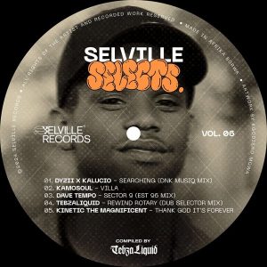 VA, Selville Selects, Vol. 06, Compiled By TebzaLiquid, download ,zip, zippyshare, fakaza, EP, datafilehost, album, Deep House Mix, Deep House, Deep House Music, Deep Tech, Afro Deep Tech, House Music