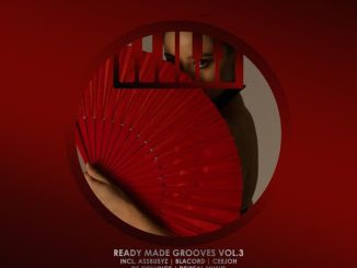 VA, Ready Made Grooves, Vol. 3, download ,zip, zippyshare, fakaza, EP, datafilehost, album, Afro House, Afro House 2024, Afro House Mix, Afro House Music, Afro Tech, House Music