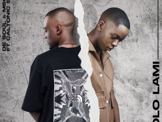 De Soul, Izolo Lami, Msongi, Caltonic SA, mp3, download, datafilehost, toxicwap, fakaza,House Music, Amapiano, Amapiano 2025, Amapiano Mix, Amapiano Music