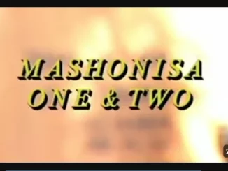 Emzini Wezinsizwa, Mashonisa One,Two, mp3, download, datafilehost, toxicwap, fakaza, Afro House, Afro House 2025, Afro House Mix, Afro House Music, Afro Tech, House Music