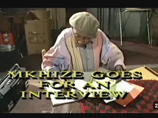 Emzini Wezinsizwa, Mkhize Goes For An Interview, mp3, download, datafilehost, toxicwap, fakaza, Afro House, Afro House 2025, Afro House Mix, Afro House Music, Afro Tech, House Music